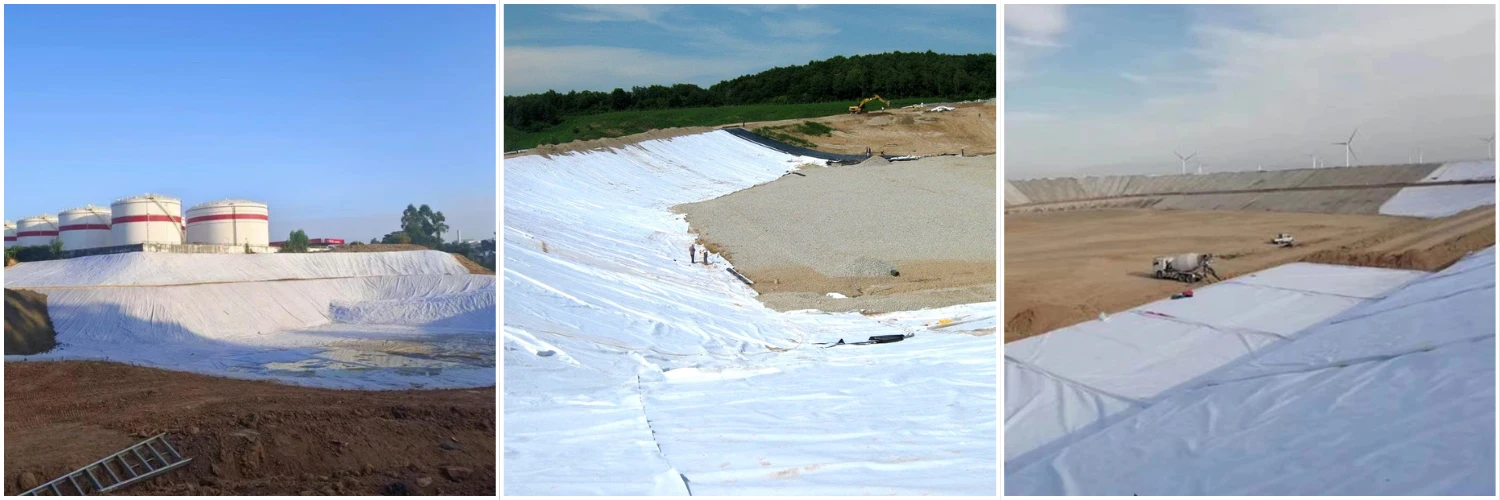 Composite geomembrane for hydraulic engineering1
